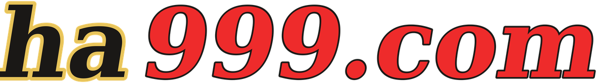 ha999.com logo